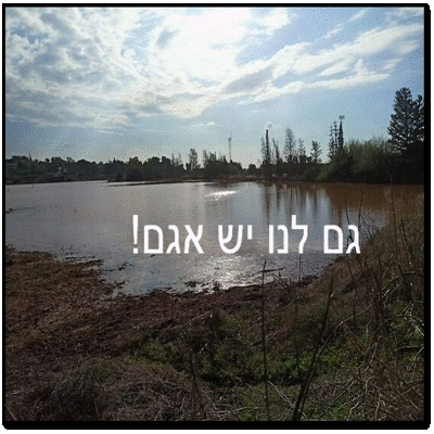 צילום עצמי צילום עצמי