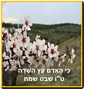 כי האדם עץ השדה ברכות להורדה עם ניקוד עברית