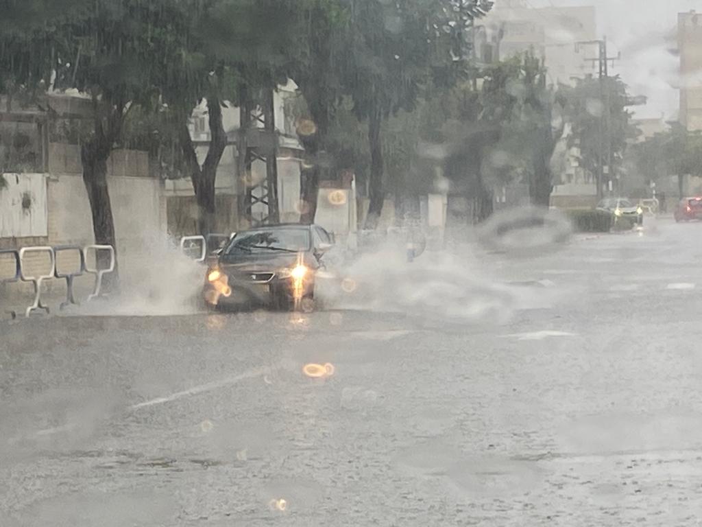 צילום: עופר אשטוקר