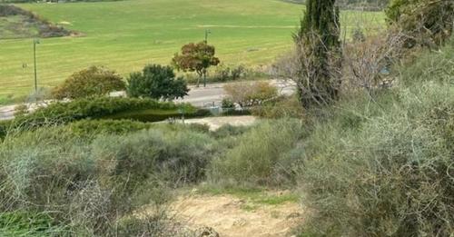 מותה של גבעת התור צילום ארכיון 