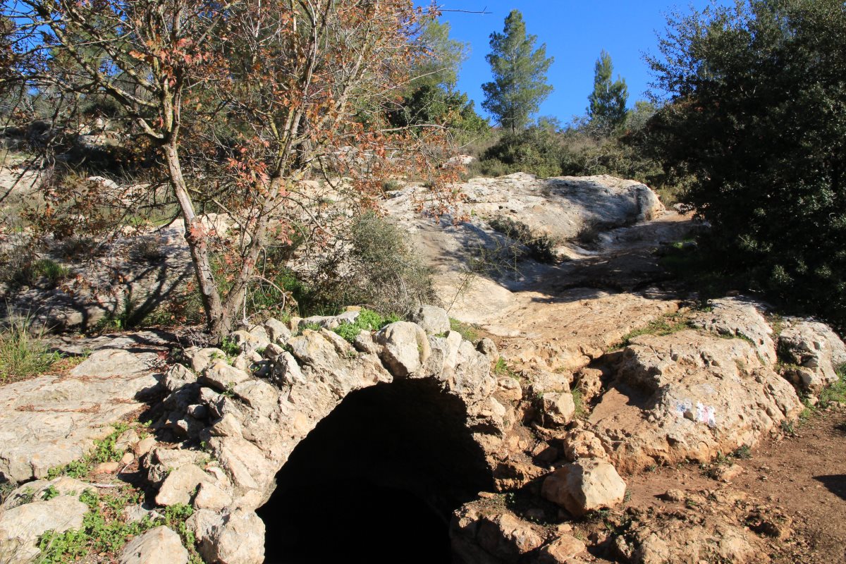 שביל הקיסר בהרי ירושלים_יעקב שקולניק_070822