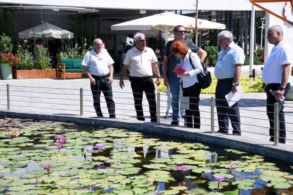 השופטים מתרשמים מתרשמים מנס ציונה התוצאות בחודש דצמבר 