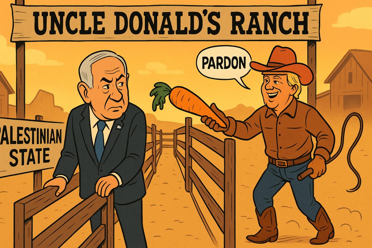 אבי בן דוד + צ'אט גפט