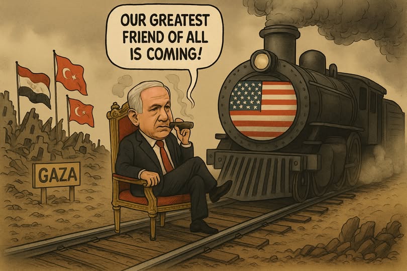 אבי בן דוד + צ'אט גפט