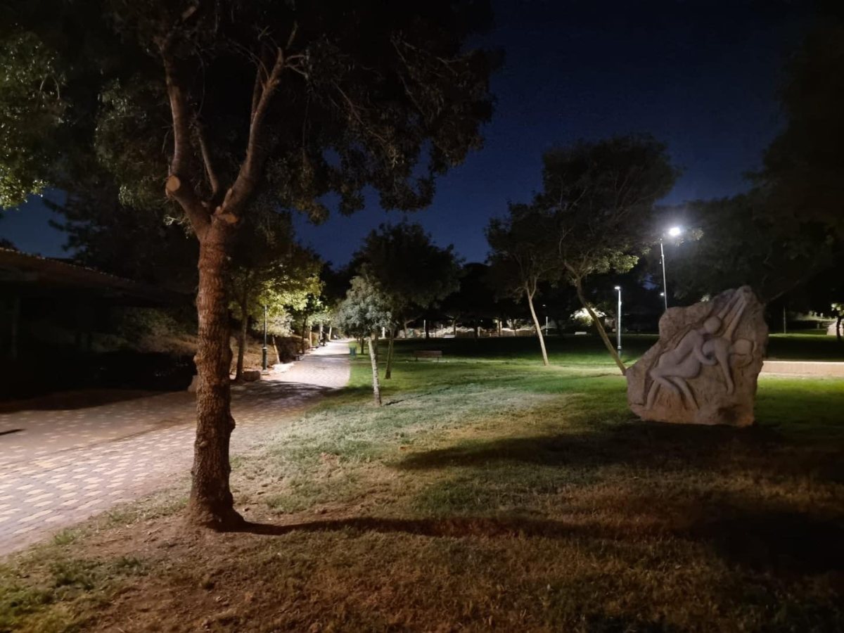 מאירים את נס ציונה צילום דוברות העירייה