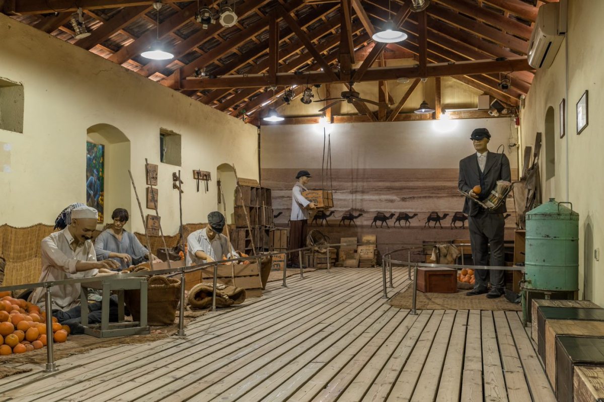 אתר הפרדסנות רחובות  קרדיט צבי הנרי כהן.jpg