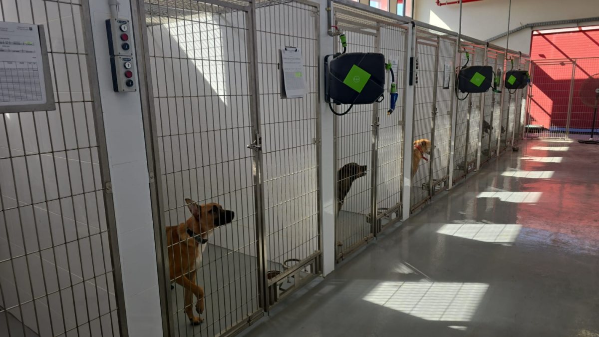 דוברות עיריית נס ציונה