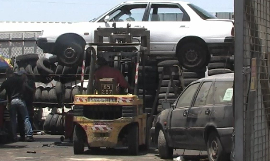 קרדיט לתמונות: עמותת אור ירוק