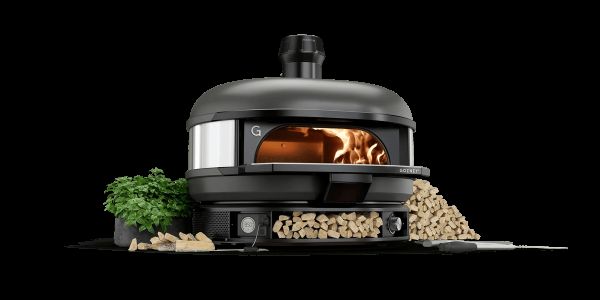 צילום: חיים יוסף