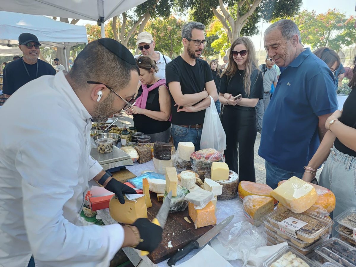דוברות עיריית נס ציונה