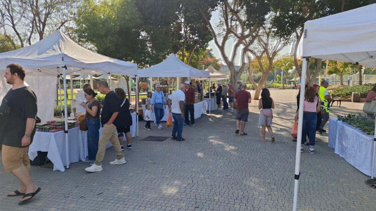 דוברות עיריית נס ציונה