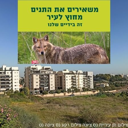 הציבור נקרא לקחת חלק בהרחקת התנים מנס ציונה
