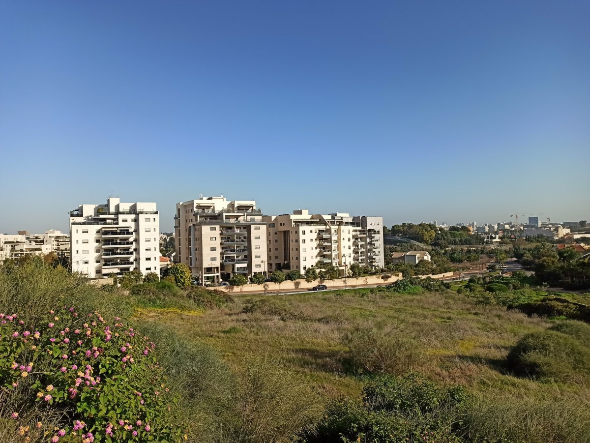 גבעות הכורכר בנס ציונה - בית גידול מרכזי לשועלים ותנים  צילום נס ציונה נט 