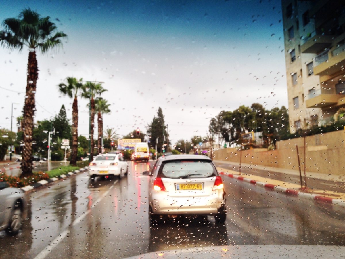 קרדיט לתמונות: עמותת אור ירוק