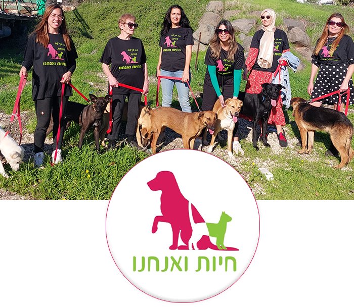 פייסבוק