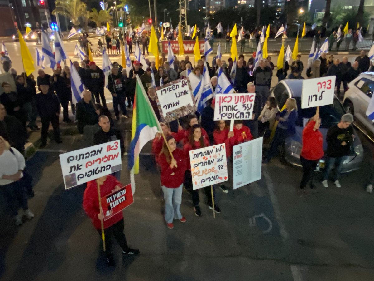 צילום: שאול עמיר
