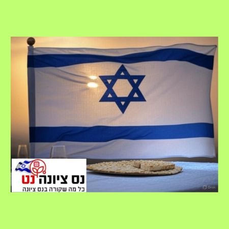 מקומון נס ציונה נט