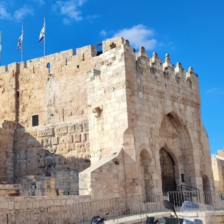 הכניסה הראשית למוזיאון מגדל דוד  צילום נס ציונה נט