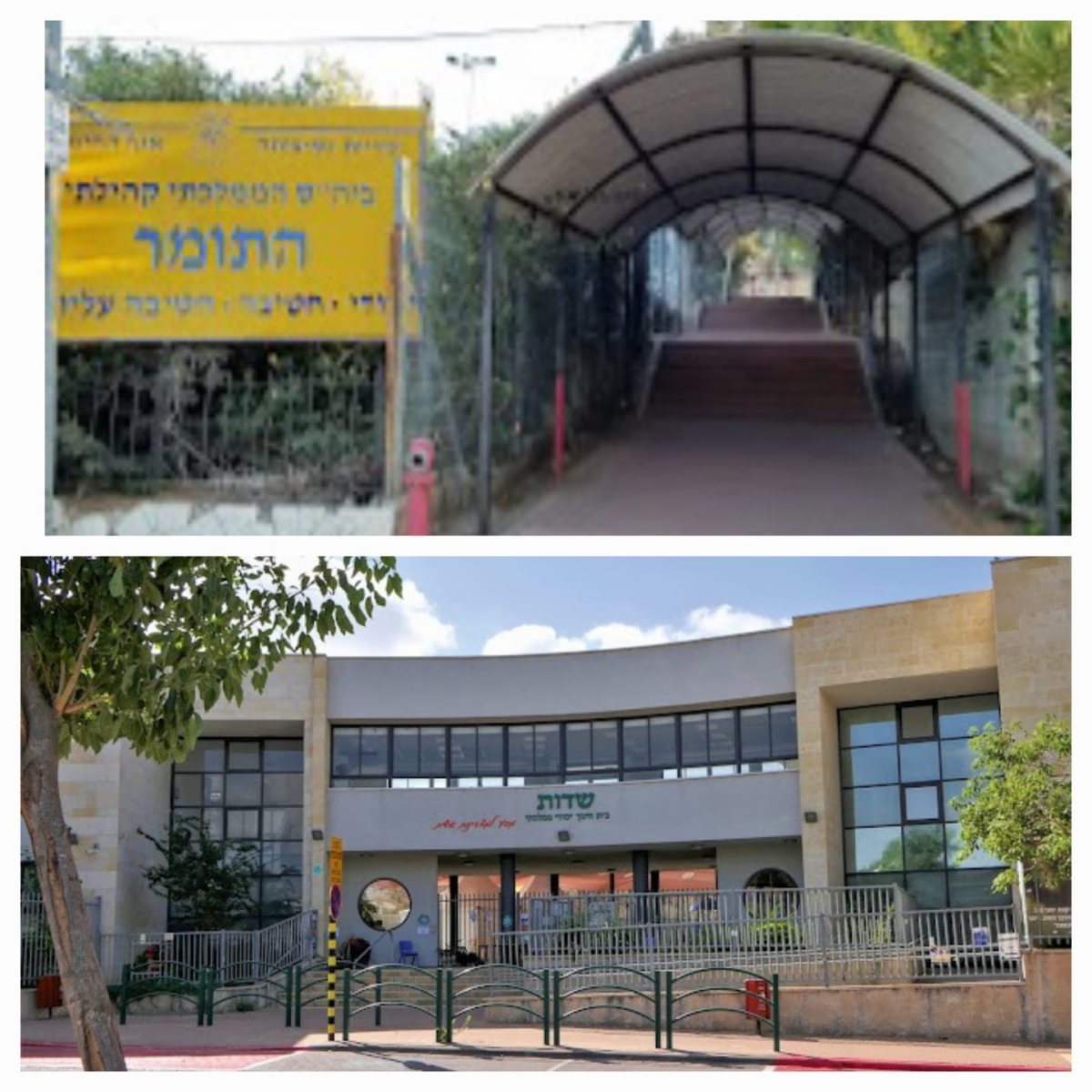 בית הספר התומר בנס ציונה 
