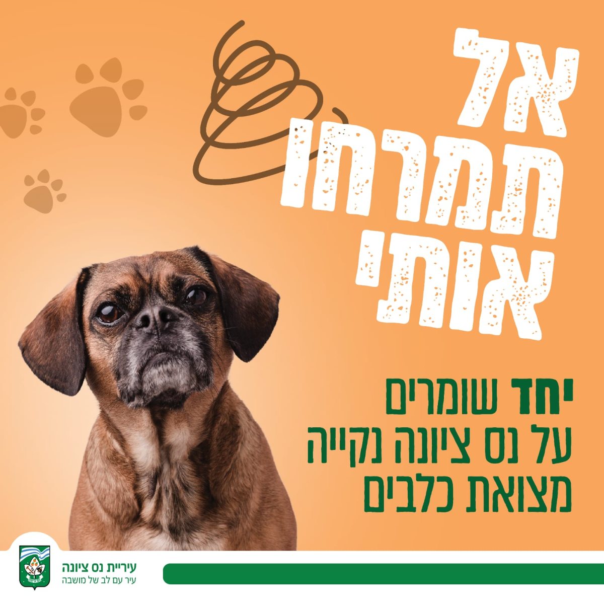 דוברות עיריית נס ציונה דוברות עיריית נס ציונה