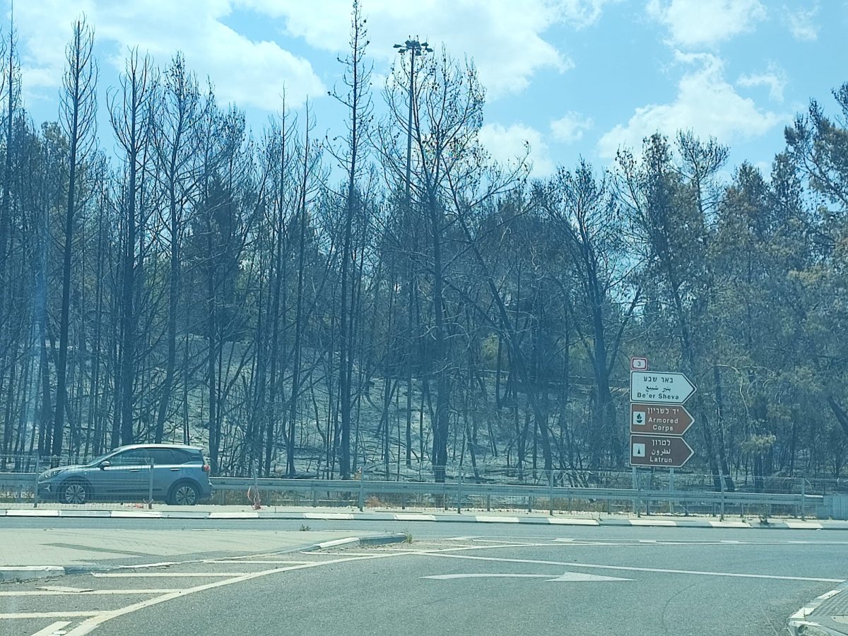  ווידאו מאתר השריפה בצומת לטרון ומנזר השתקנים צילום נס ציונה נט 