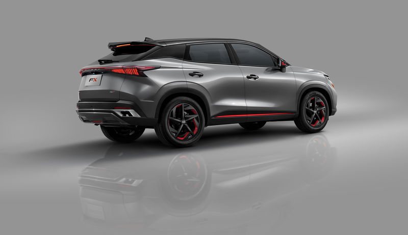 תמונה: צ&#39;רי ישראל