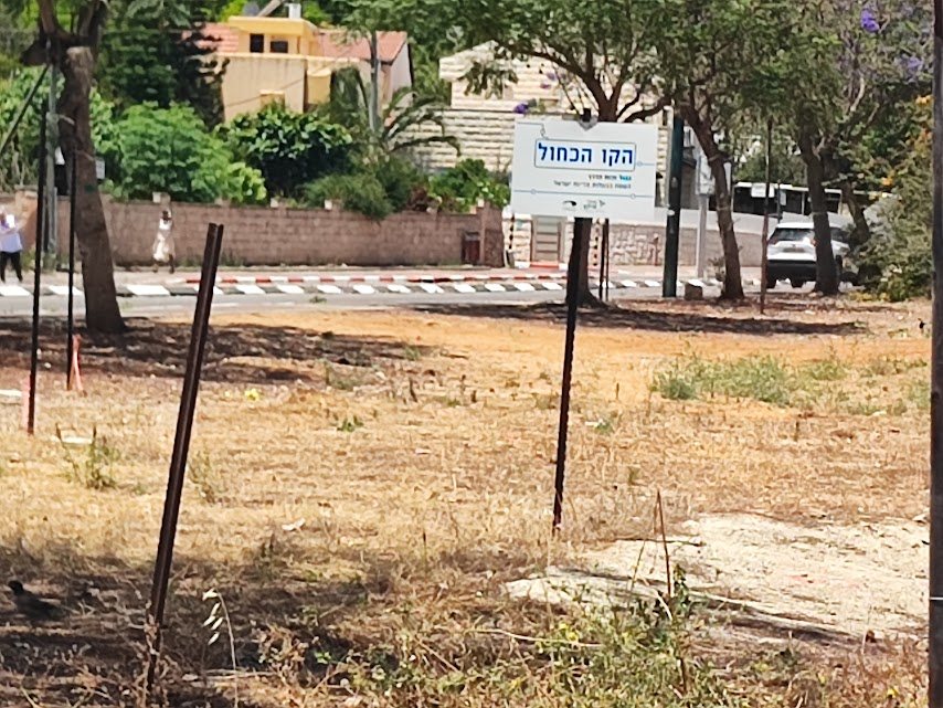 הקו הכחול נס ציונה צילום נס ציונה נט 