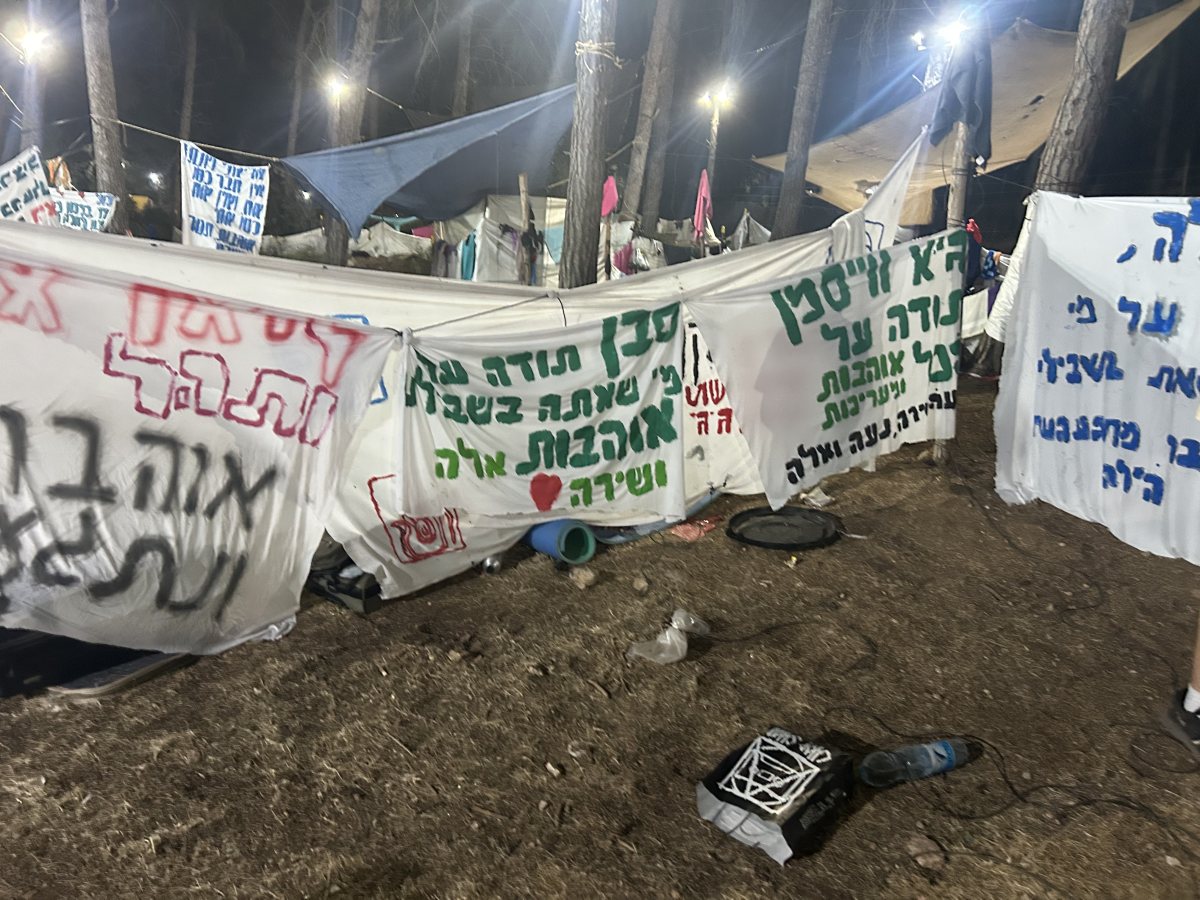 צופי נס ציונה