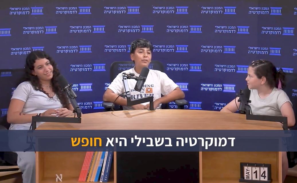 המכון הישראלי לדמוקרטיה