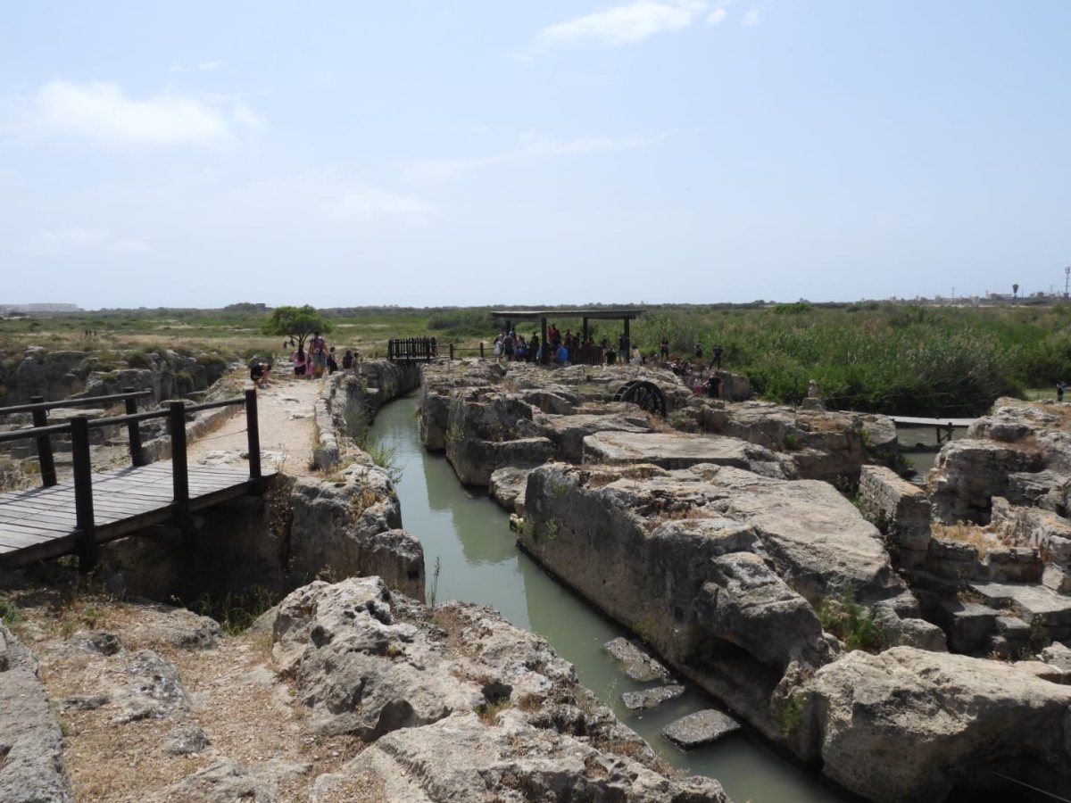 נחל תנינים - שרית פלצי מיארה רשות הטבע והגנים