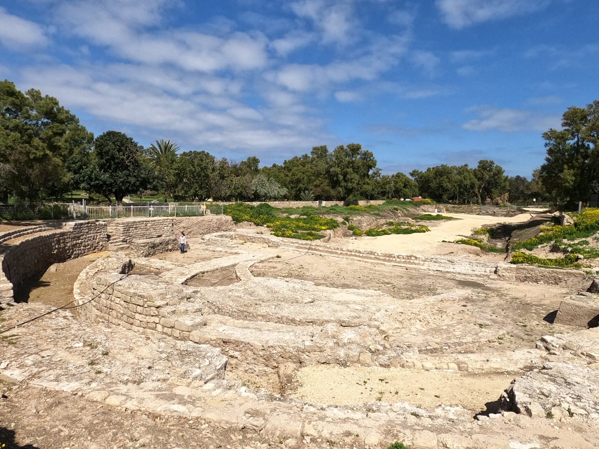 גן לאומי אשקלון - יניב כהן רשות הטבע והגנים  