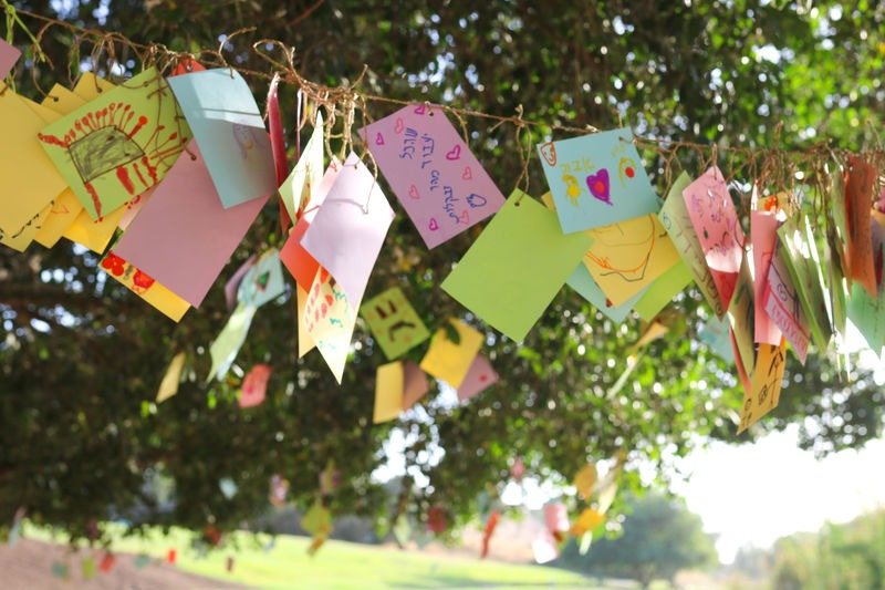 עץ המשאלות בגן לאומי ירקון, תל אפק. צילום זיו זגורי 