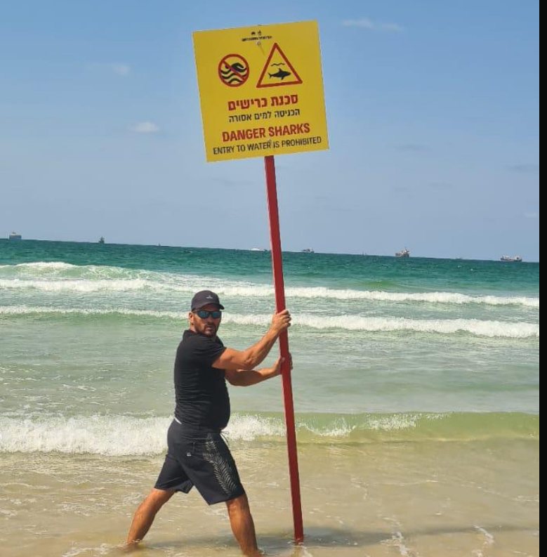 כריש בחוף אשדוד (עיריית אשדוד)