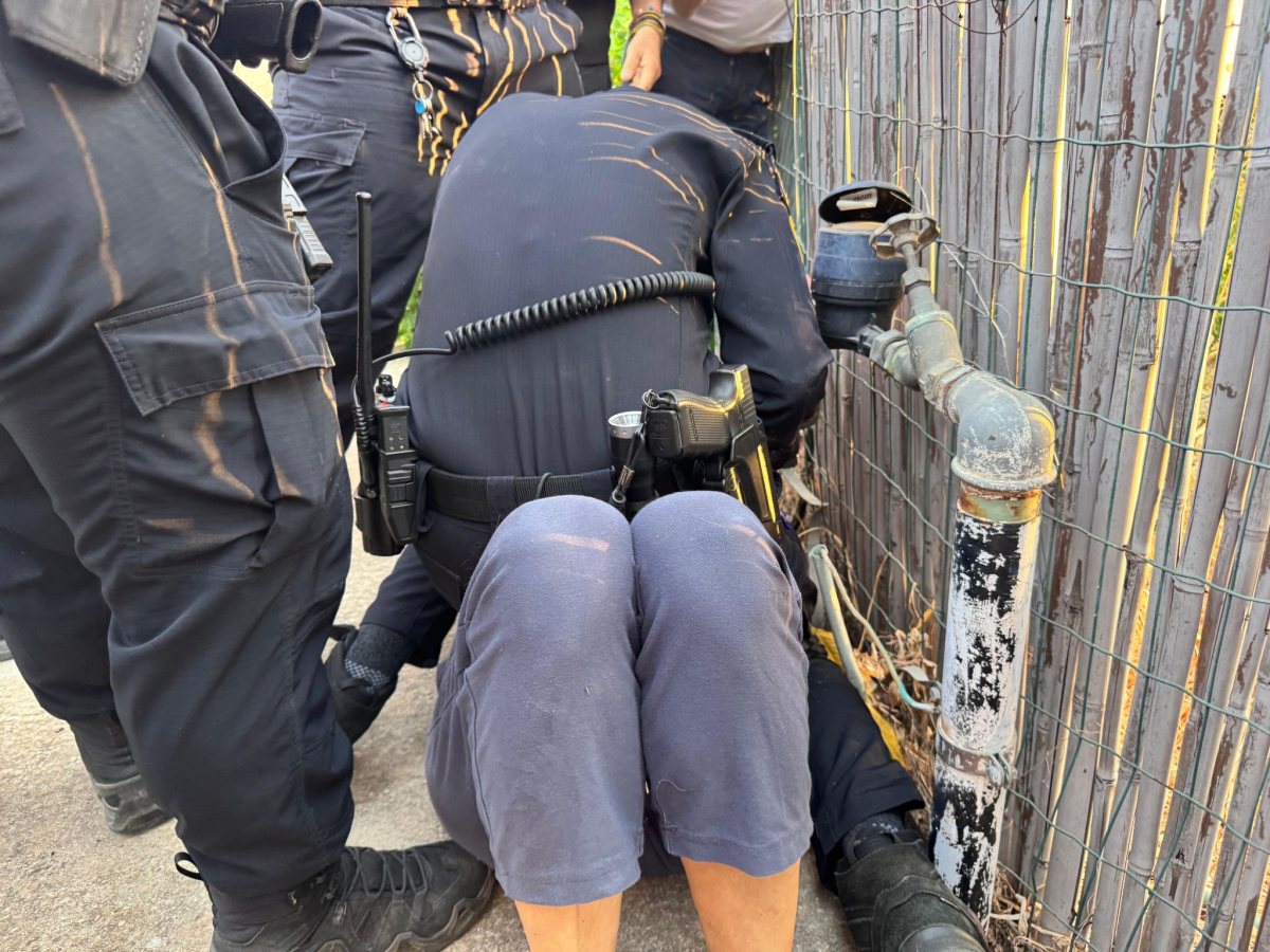 צילום: ורדית אלון קורפל