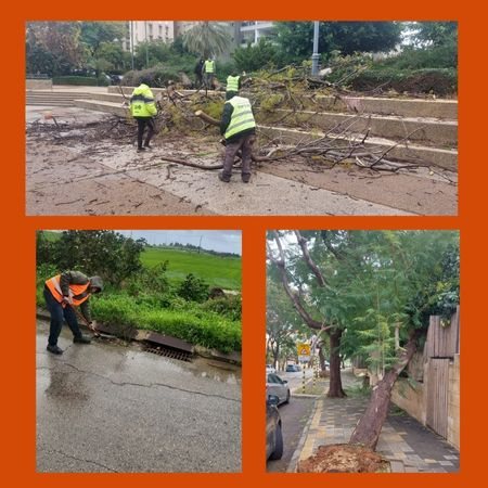 נס ציונה עמדה בפרץ סיכום שבוע של סערות ורוחות עזות צילום דוברות העירייה
