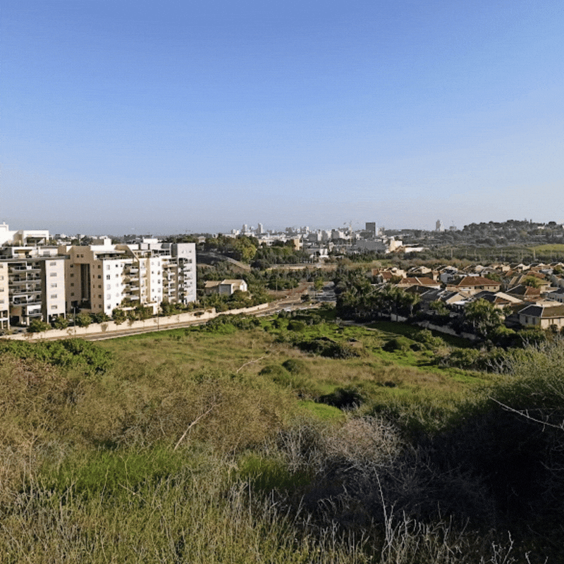 נוף גבעות הכורכר נס ציונה צילום נס ציונה נט