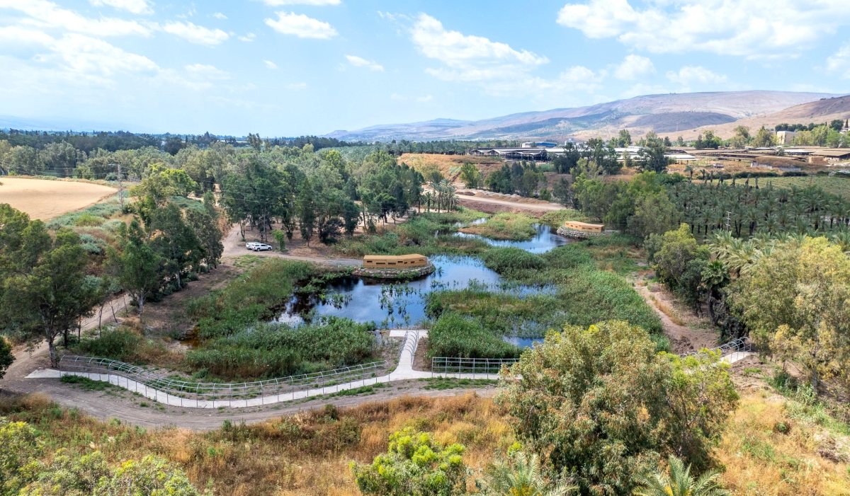 פארק ביצות כנרת - צילום רחפן אבי אריש, לרשות ניקוז ונחלים כינרת