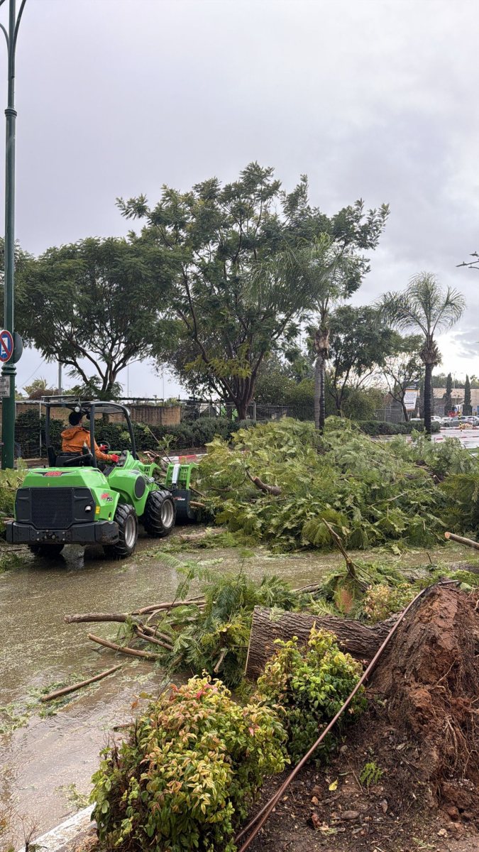 סערה בנס ציונה: רוחות של 70 קמ"ש גרמו לקריסת עצים.