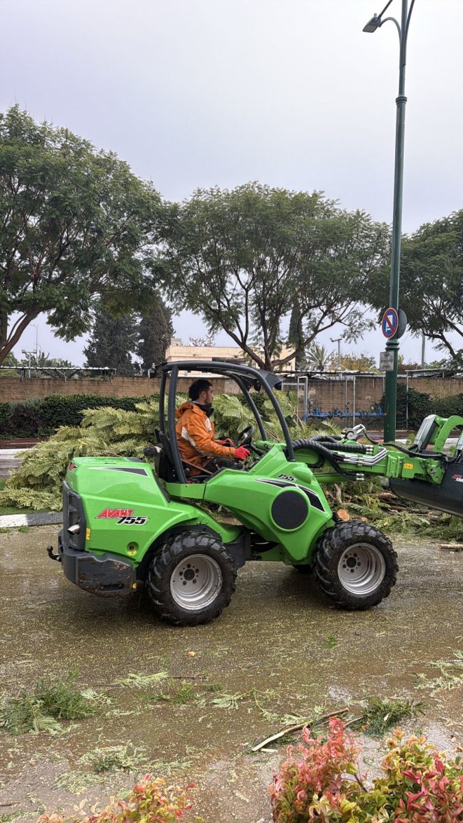קריסת עצים ברחבי העיר נס ציונה