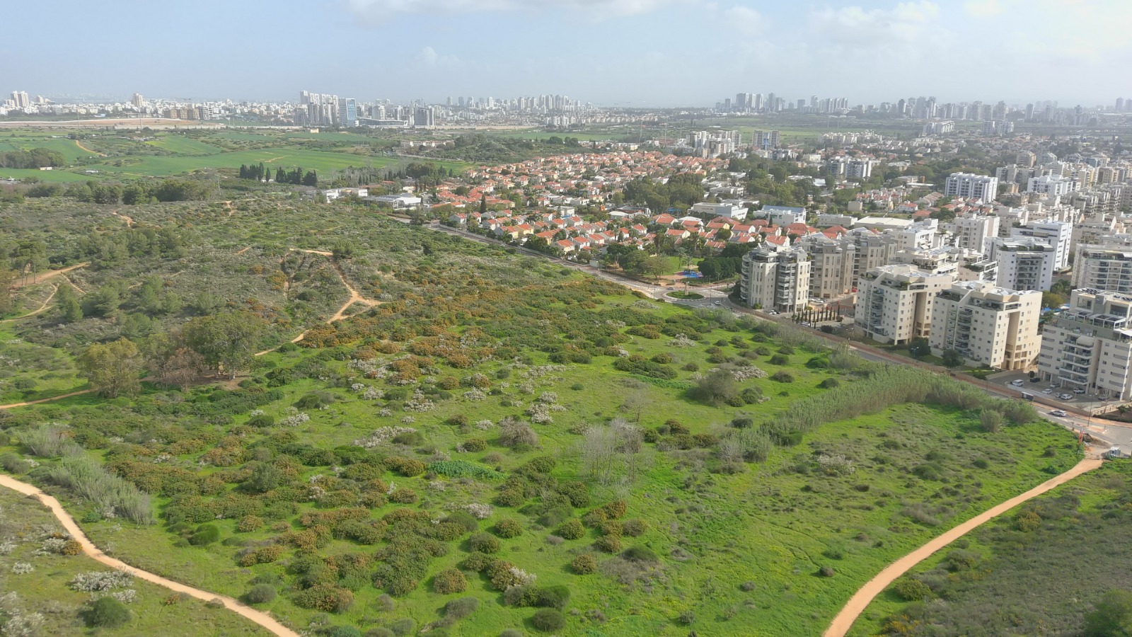 דוברות עיריית נס ציונה