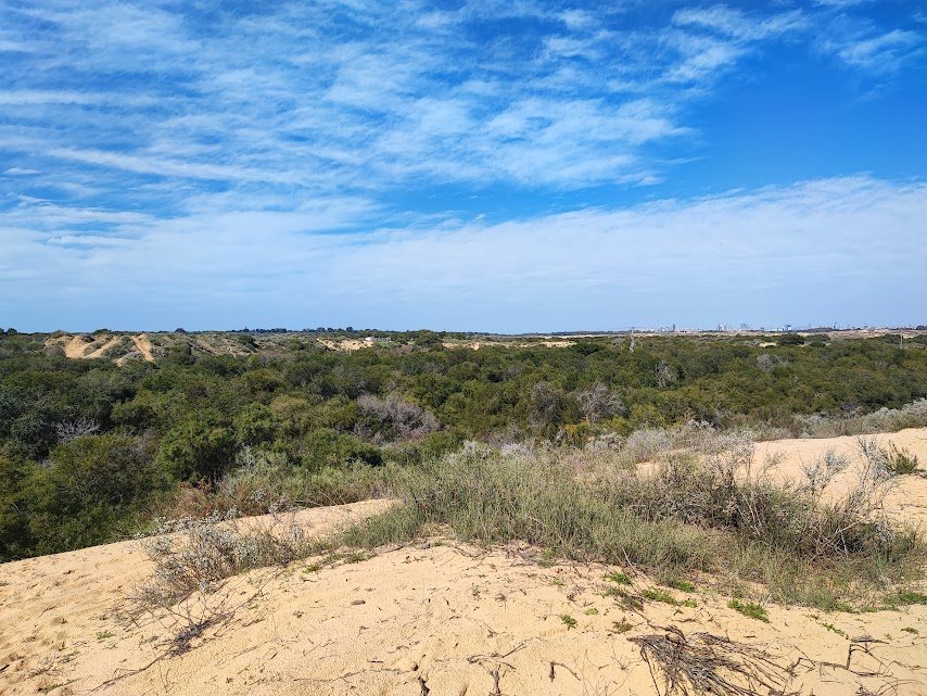 חולות יבנה אחד מאתרי הטיולים הפופולאריים והאהובים בשפלה