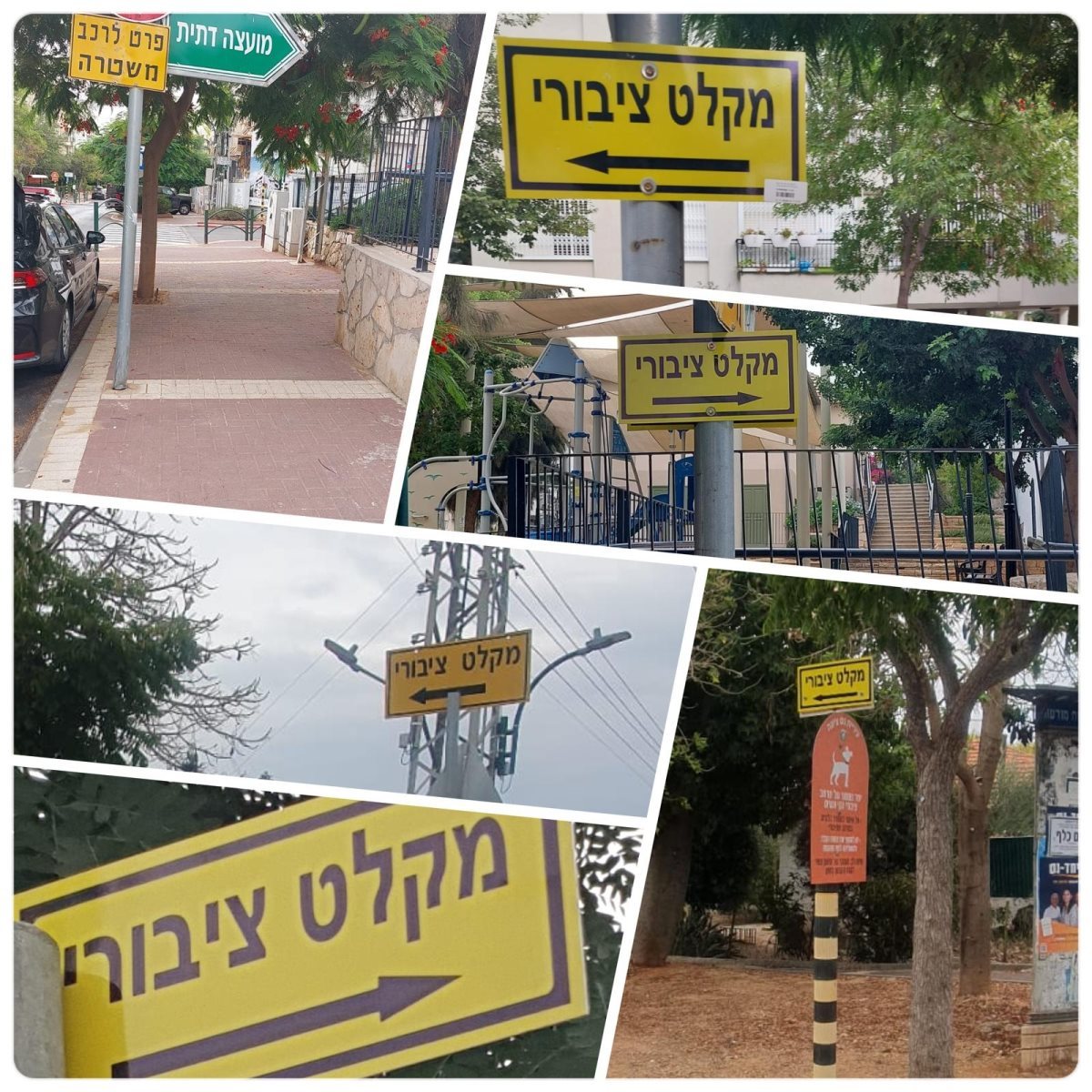 בקשה חריגה של עיריית נס ציונה לשוהים במקלטים הציבוריים צילום ארכיון נס ציונה נט 