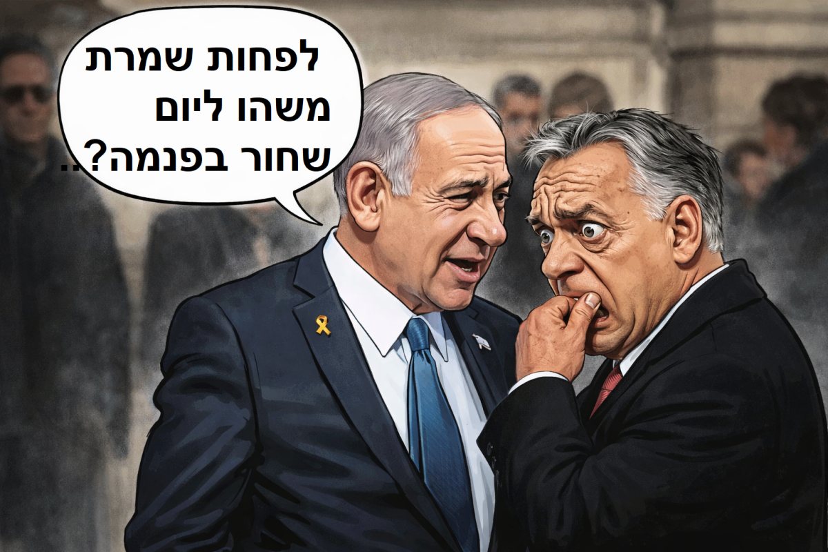 אבי בן דוד + צ'אט גפט