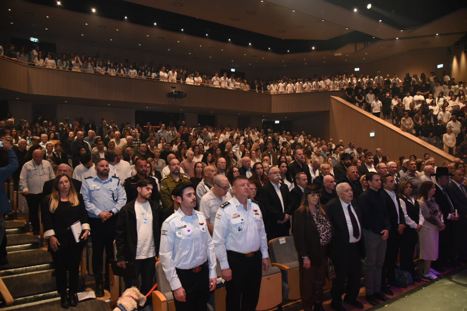 דוברות עיריית נס ציונה