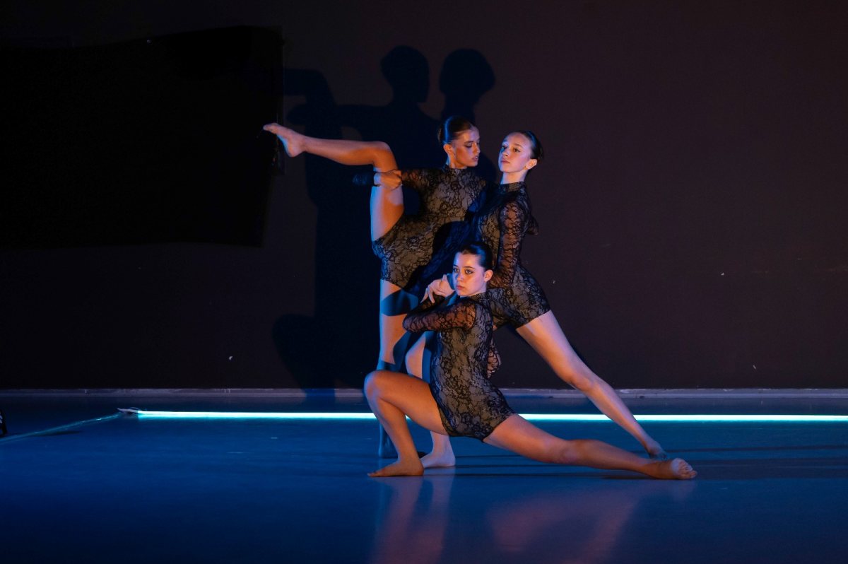 צילום יעל שגיא  