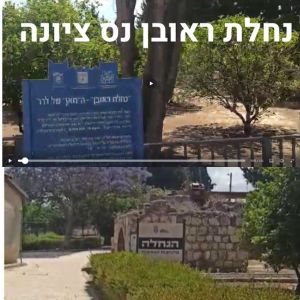 נחלת ראובן נס ציונה צילום נס ציונה נט   &copy;
