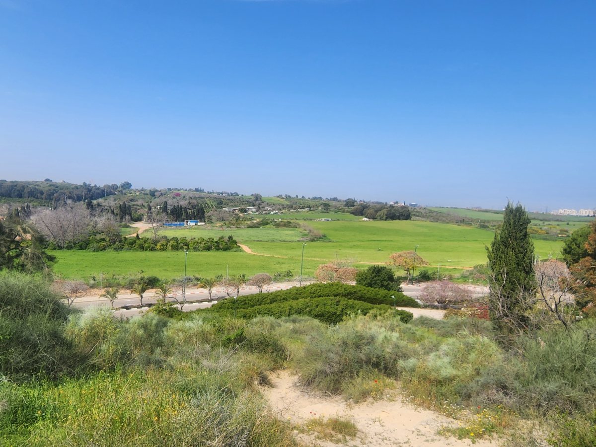 ארכיון