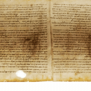 מגילת ישעיהו במוזיאון ישראל - התערוכה שכל אחד חייב לראות 