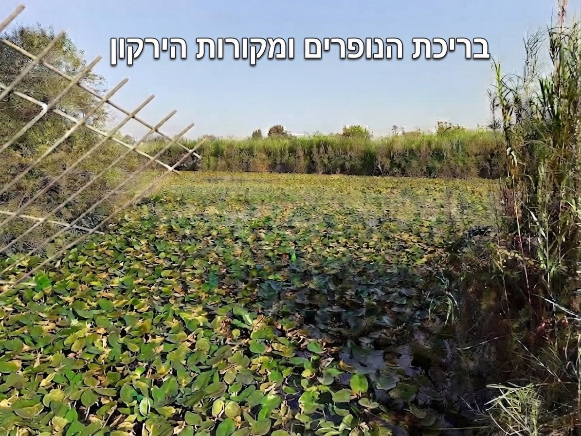 טיול קסום בלב הטבע גילוי מחדש של מקורות הירקון, עין אפק ומבצר אנטיפטרוס ובריכת הנופרים