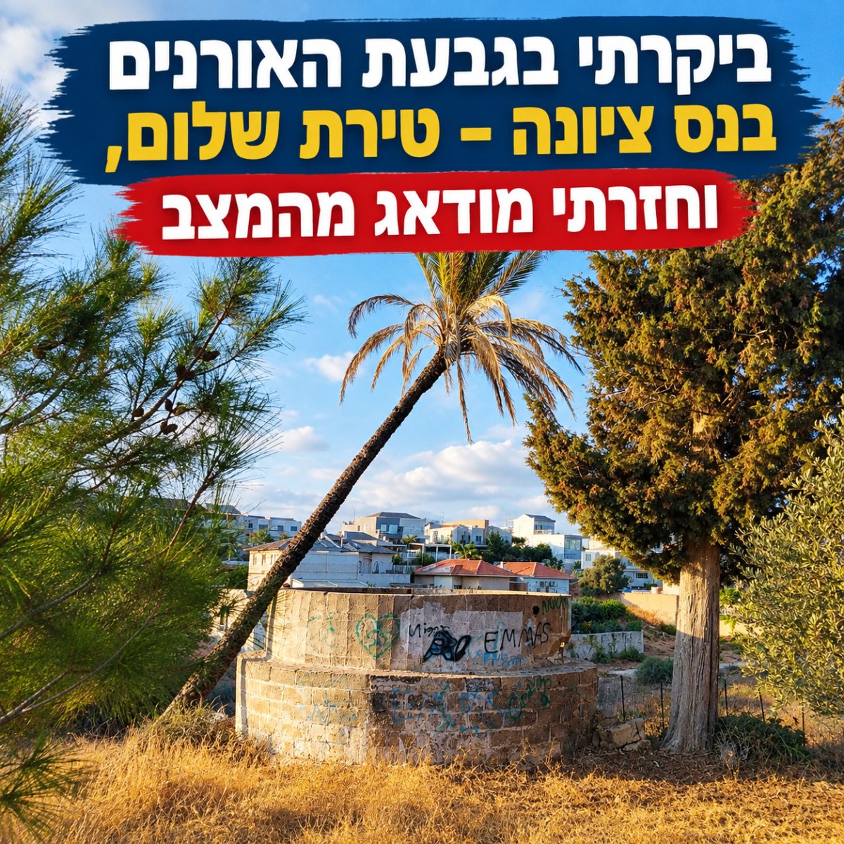 גבעת האורנים בנס ציונה &ndash; טירת שלום הולכת ונעלמת? ביקור במקום מעלה שאלות